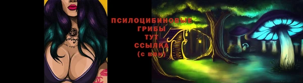дурь Пестово